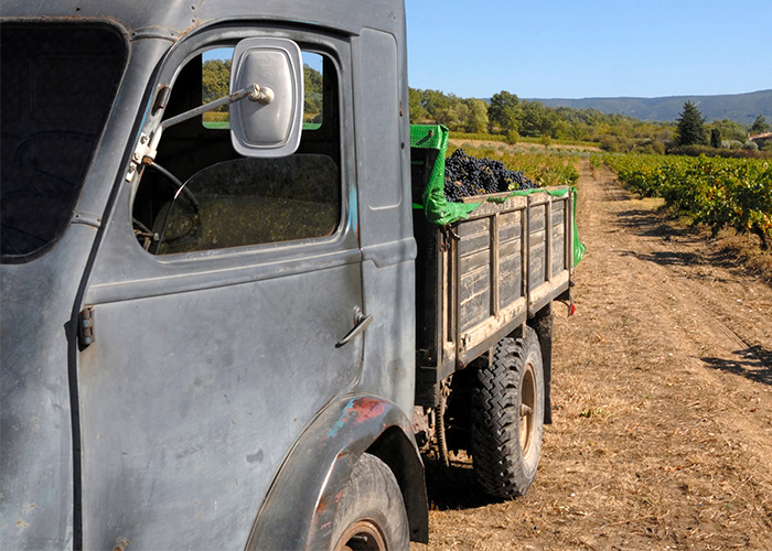 /medias/Bergeron-Vin-paragraphe2.jpg?context=bWFzdGVyfGltYWdlc3wxNzM4MjF8aW1hZ2UvanBlZ3xhRFZqTDJnNFpTOHhOVEl6TkRZeU5UVXpOakF6TUM5Q1pYSm5aWEp2Ymw5V2FXNWZjR0Z5WVdkeVlYQm9aVEl1YW5Cbnw2YmE3OGVlNDQwYmZmM2QxMDJkZDdlZTQ4ZDliNjEzMjI0YmM3MmQwNTFmOGRhYzg2Zjk4YTA5NGUwNGNjZDk3