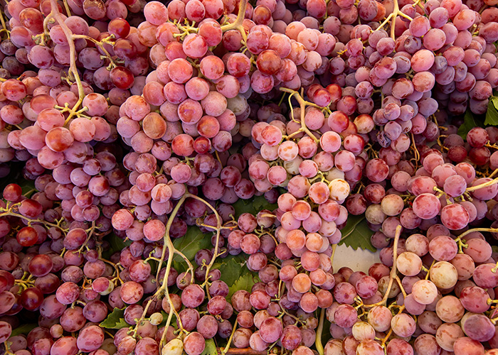 /medias/CroixBeausejour-Vin-paragraphe1.jpg?context=bWFzdGVyfGltYWdlc3wyNzI3Mzh8aW1hZ2UvanBlZ3xhREEyTDJnd1l5OHhOak16TVRjNU5qZzBNRFEzT0M5RGNtOXBlRUpsWVhWelpXcHZkWEpmVm1sdVgzQmhjbUZuY21Gd2FHVXhMbXB3Wnd8MTgyNmQ1Zjg4N2FkNWVjZmMxMzlmMjdlOWQ3MzBiZGJmOGRiZTZjZDMwOTljNmYzZDY1ZTUzYzM1ZTBhNjllNQ