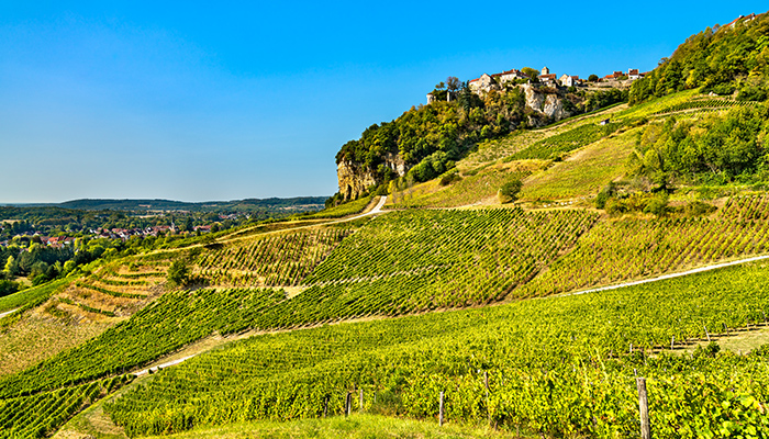 /medias/Vignoble-Jura-Savoie.jpg?context=bWFzdGVyfGltYWdlc3wzNDk4NzJ8aW1hZ2UvanBlZ3xhRFkzTDJnMk55OHlPRGcwTnpZd056ZzBNRGM1T0M5V2FXZHViMkpzWlMxS2RYSmhMVk5oZG05cFpTNXFjR2N8YTc2ZjVlODJmNGExYWI3MjFlYmZlMThmMjUyYTUwMDZiNzdkZWY5M2NhMWM3NjUxZmYzNWFiYTQwMjZiNzJjMg